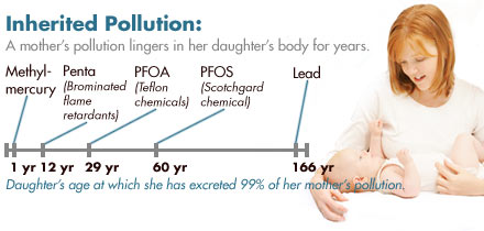 inherited chemicals mothers daughters
